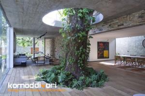 خانه برزیلی زیبا که در اطراف درخت ساخته شده
