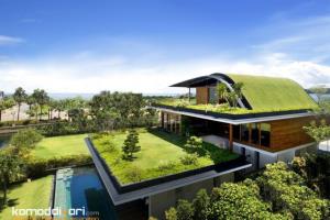 نمای بیرونی خانه با پوشش گیاهان طبیعی