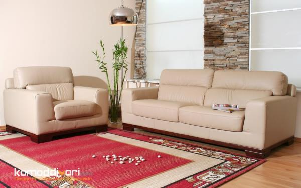 ایده  دکوراسیون نشیمن با فرش قرمز 