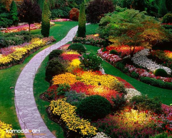 ایده محوطه سازی و لنداسکیپ با گیاهان تزئینی