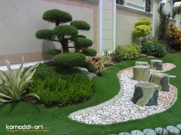 ایده گیاهان ودرختچه های تزئینی زیبا